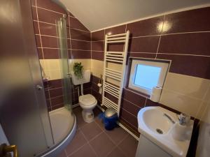 ein Bad mit einer Dusche, einem WC und einem Waschbecken in der Unterkunft Floare de Maramures 1 in Vadu Izei