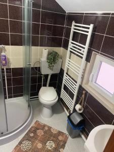 La petite salle de bains est pourvue d'une douche et de toilettes. dans l'établissement Floare de Maramures 1, à Vadu Izei