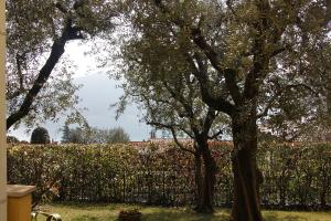 una cerca con dos árboles frente a un campo en Sarnico giardino sul lago, en Sarnico