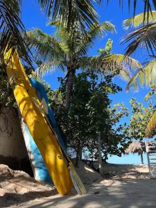 Fotografie z fotogalerie ubytování Villa Arena Sol-Beach Front v destinaci Punta Rucia