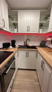 Gallery image of Bogdan's Ultracentral Residence 1 in Timişoara