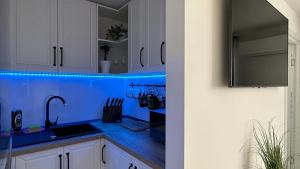 Gallery image of Bogdan's Ultracentral Residence 1 in Timişoara +8 photos