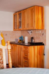 A kitchen or kitchenette at Gazdov dvor