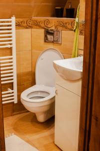 een badkamer met een toilet en een wastafel bij Gazdov dvor in Vavrišovo
