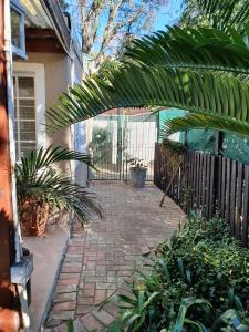 un patio con una puerta y un montón de plantas en Paradise in the City - Cottage One, en Port Elizabeth