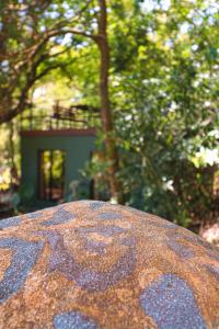 un primer plano de la parte superior de una mesa con árboles en La Casa de la Montaña, en Monteverde