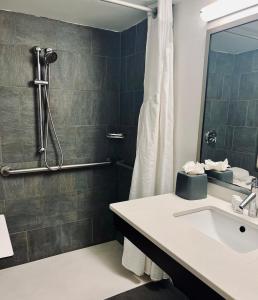 ein Bad mit einer Dusche und einem Waschbecken in der Unterkunft Holiday Inn Virginia Beach - Norfolk, an IHG Hotel in Virginia Beach