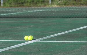 DicomanoにあるLa Terrazza Dei Fratiのテニスコートに座るテニスボール2球