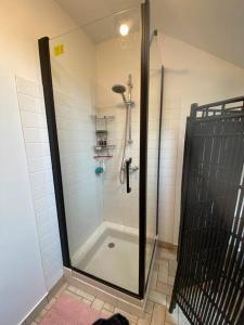 a bathroom with a shower with a glass door at La Pierre des Volcans Chaleureux Calme Champêtre in Aydat