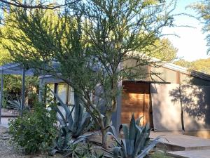 una casa con un árbol delante de ella en Cholas en Merlo