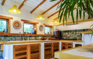 a large kitchen with wooden cabinets and a sink at Nice Home In Plouguerneau With Wifi in Plouguerneau