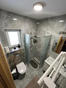 un baño con ducha y WC en Domki pod Grapą, en Trybsz 20 fotos más
