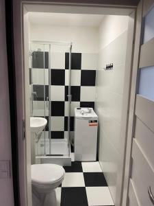 czarno-biała łazienka z toaletą i umywalką w obiekcie Urokliwy loft w NCŁ kamienica Vabank 34 w Łodzi