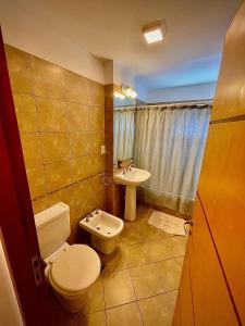 La salle de bains est pourvue de toilettes et d'un lavabo. dans l'établissement Departamento Güemes II, à San Salvador de Jujuy