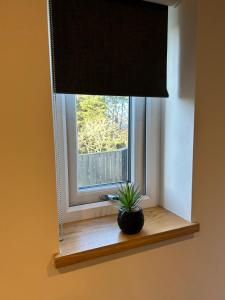 a window with a plant sitting on a wooden window sill at Seòmar Beag in Oban