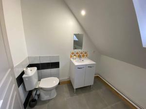 a small bathroom with a toilet and a sink at Lumineux appartement duplex, très bien équipé in Saint-Amand-Montrond