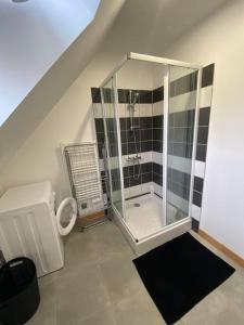 a bathroom with a shower and a toilet at Lumineux appartement duplex, très bien équipé in Saint-Amand-Montrond