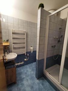 W łazience znajduje się prysznic i umywalka. w obiekcie Apartmán J+S Donovaly w mieście Donovaly