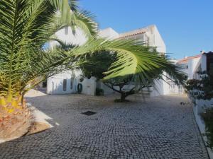 a palm tree in front of a building at Apartamento Diago in Albufeira