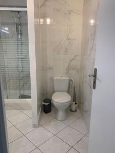 een witte badkamer met een toilet en een douche bij Top appartement 2 pièces in La Richardais