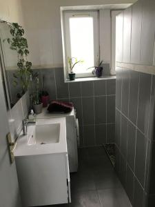 a bathroom with a sink and a window and plants at Maison avec jardin in Crozon