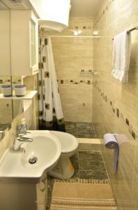 uma casa de banho com um lavatório, um chuveiro e um WC. em Studio In em Dubrovnik
