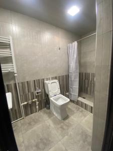 a bathroom with a toilet and a shower at 3 Cosy apartment near Airport EVN in Yerevan +5 photos