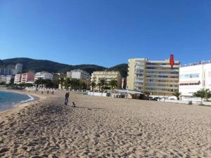 osoba stojąca na piaszczystej plaży w pobliżu oceanu w obiekcie Magnifique F3 les pieds dans l'eau. w Ajaccio