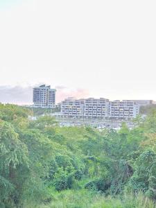 - une vue sur une ville avec de grands bâtiments et des arbres dans l'établissement Magnifique appart face marina, à Fort-de-France