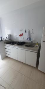 聖佩德羅－達阿爾德亞的住宿－Xodó da Aldeia，白色的厨房配有水槽和冰箱