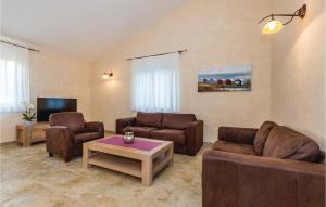 a living room with two couches and a tv at Beautiful Home In Turcic With Wifi in Vantačići