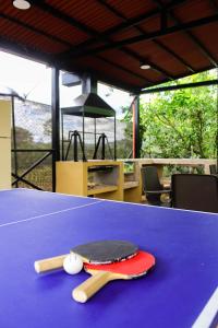 un tavolo con due racchette e palle da ping pong sopra di Villa el Remanso a Montenegro