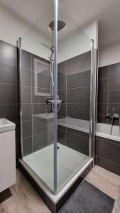 een douche met een glazen deur in de badkamer bij Appartement Franco in Maria Alm am Steinernen Meer