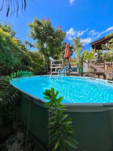 a large swimming pool in a yard with a umbrella at Cozy 1 bedroom cottage w/pool in Bridgetown