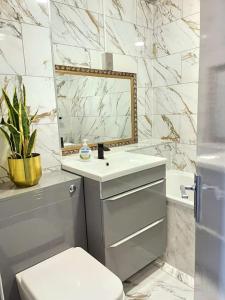 a bathroom with a toilet and a sink and a mirror at Lovely 3 Bed Ground Floor Apartment Near QE Hospital Harborne Birmingham New in Birmingham