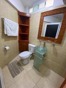 阿拉爾孔塔斯科的住宿－Casa Vista hermosa de taxco，一间带卫生间、水槽和镜子的浴室
