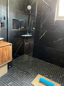een badkamer met een douche en een zwarte muur bij Le Pavillon du trou d'eau in La Saline les Bains