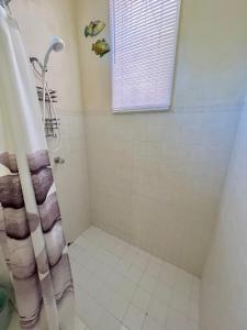 a bathroom with a shower and a window at Cozy 1 bedroom cottage w/pool in Bridgetown