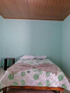 1 dormitorio con 1 cama con manta rosa y verde en Casa Beli, en Monteverde