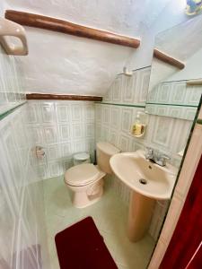ein kleines Bad mit WC und Waschbecken in der Unterkunft El Oasis de la villa in Villa de Leyva