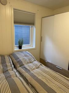 1 dormitorio con cama y ventana grande en Helt ny rorbu på Slyngstad i Ålesund Kommune en Ålesund