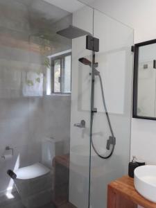 a bathroom with a shower and a toilet and a sink at La maison noire in Maleny