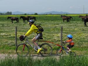 a man and a child riding bikes in a field with horses at Fattoria il Duchesco in Alberese