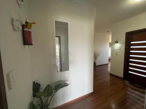 棕榈滩Palm beach Sydney, Modern home with water view的相册照片