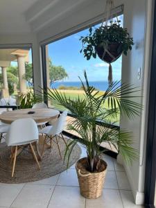 a dining room with a table and a potted plant at Zentala in Port Lincoln +5 photos