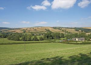 um campo de relva verde com um poste de telefone em Clun Valley Lodges em Clunton