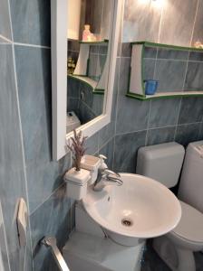 a bathroom with a sink and a toilet and a mirror at Apartment Island memories in Prvić Šepurine