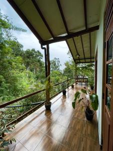 a balcony of a house with potted plants on it at Solitary Resort in Ella