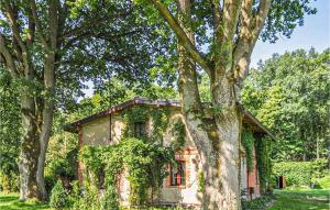 ein altes Haus mit Efeu, der neben Bäumen wächst in der Unterkunft Cozy Home In Sasino With Kitchen in Sasino