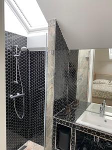 een badkamer met een douche en een wastafel bij Haus Mathilda in Papstdorf